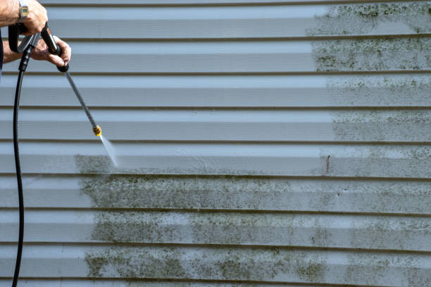 Affordable siding repair and maintenance services in Brass Castle, NJ