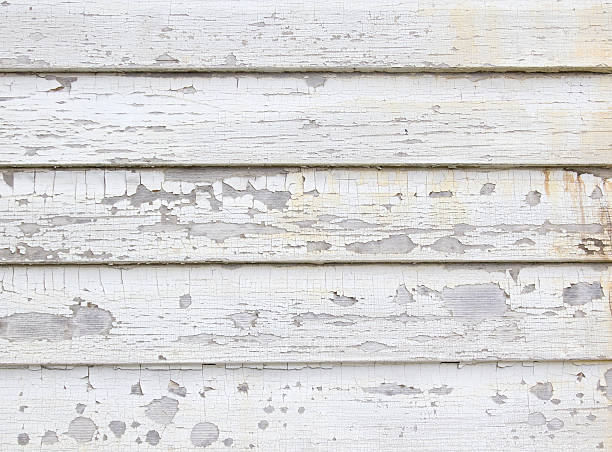 Best Siding Painting and Refinishing  in Brass Castle, NJ