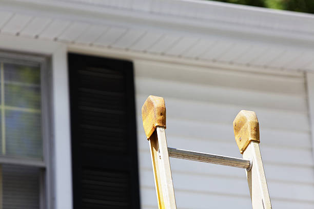 Best Custom Trim and Detailing for Siding  in Brass Castle, NJ