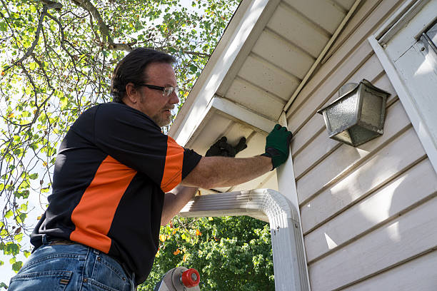 Best Custom Siding Design  in Brass Castle, NJ